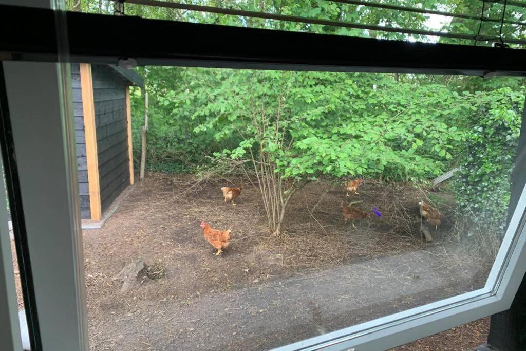 Prachtig Gerenoveerd Bakhuis Enerene Villa Vught Dış mekan fotoğraf